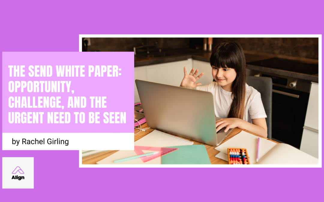 The SEND White Paper: Opportunity, Challenge, and the Urgent Need to Be Seen
