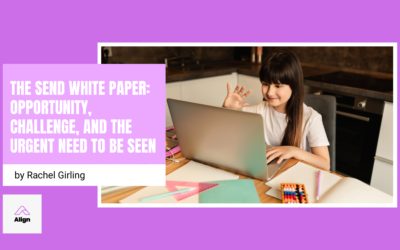 The SEND White Paper: Opportunity, Challenge, and the Urgent Need to Be Seen