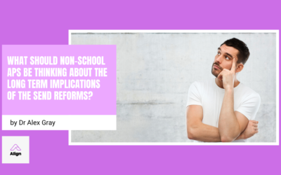 What should non-school APs be thinking about the long term implications of the SEND reforms? Three key areas to consider.